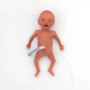 Симулятор недоношенного ребёнка NENASim Preemie Xcel